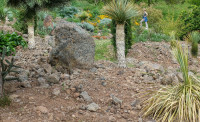 /album/philemons-garten-9-mai-2026/philemons-garten-09-05-2026-9-jpg/